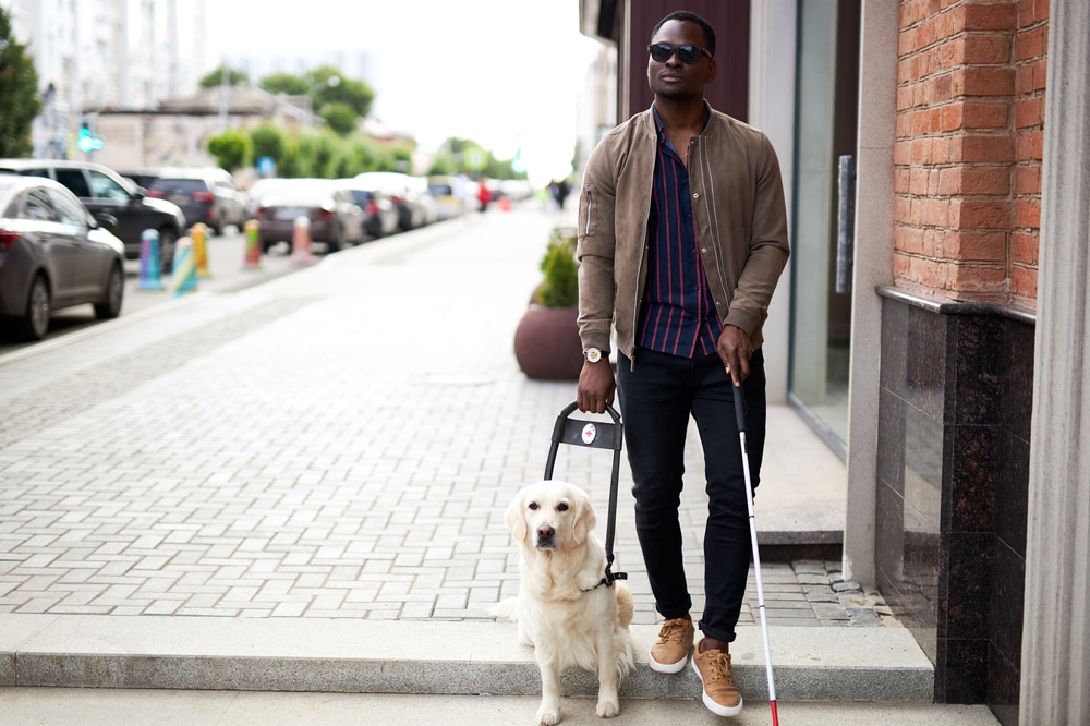 Service Animals and the Guests